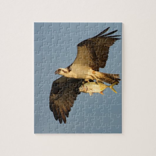 Osprey Legpuzzel (Verticaal)