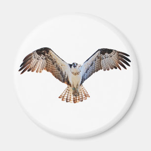 Osprey Magneet