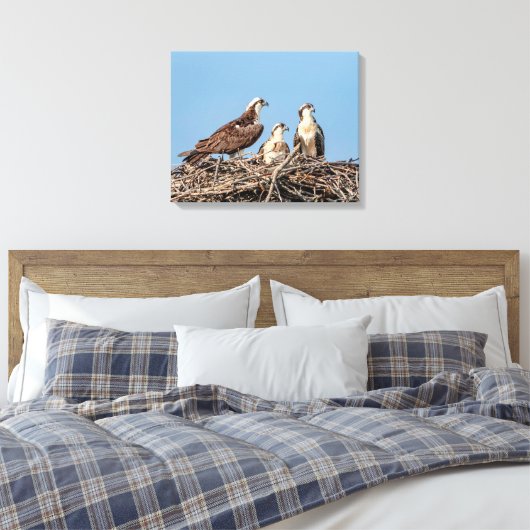Osprey mama met haar kinderen canvas afdruk (Insitu (Slaapkamer))