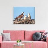 Osprey mama met haar kinderen canvas afdruk (Insitu (Woonkamer))