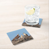 Osprey mama met haar kinderen vierkante kartonnen onderzetter (Insitu)