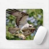 Osprey met grote mondbaars muismat (Met muis)