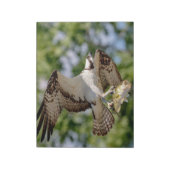 Osprey met grote mondbaars notitieblok (Gedraaid)