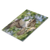 Osprey met grote mondbaars notitieblok (Schuin)
