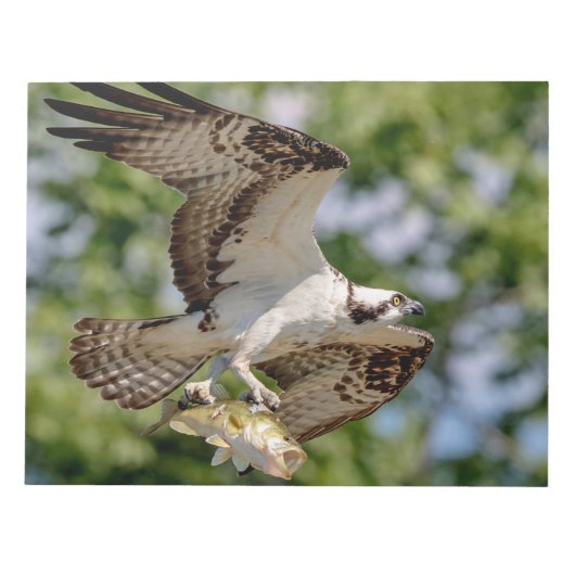 Osprey met grote mondbaars notitieblok (Voorkant)