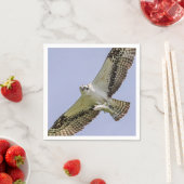 Osprey met vis servet (Insitu)