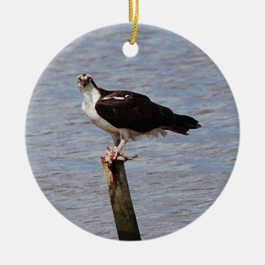 Osprey met visversiering keramisch ornament (Voorkant)