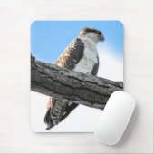 Osprey Muismat (Met muis)