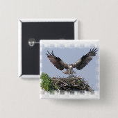Osprey Nest Pin Vierkante Button 5,1 Cm (Voorkant /achterkant)