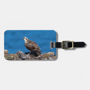 Osprey op de rotsen bagagelabel