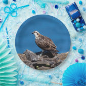 Osprey op de rotsen papieren bordje (Feest)