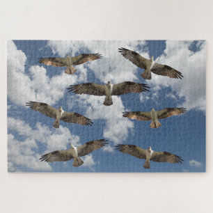 Osprey parade aan de hemel legpuzzel