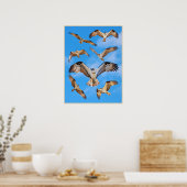 Osprey Poster (Keuken)