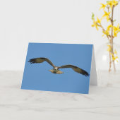 Osprey S'Oriente Vers Une Carte D'Art Vous-Frameab (Fleur jaune)