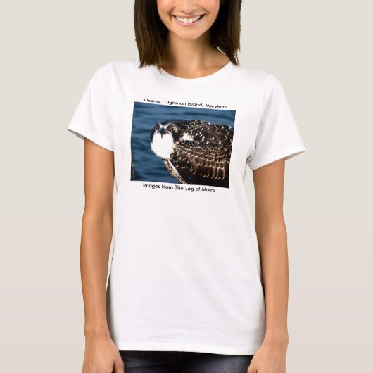 Osprey, Tilghman Island, Dogwood Harbour, Maryland T-shirt (Voorkant)