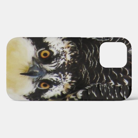 Osprey Up Close - iPhone 12 Coque dur (Verso (horizontal))