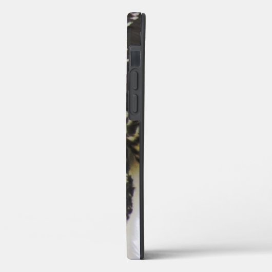 Osprey Up Close - iPhone 12 Coque dur (Verso / Gauche)