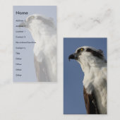 osprey visitekaartje (Voorkant / Achterkant)