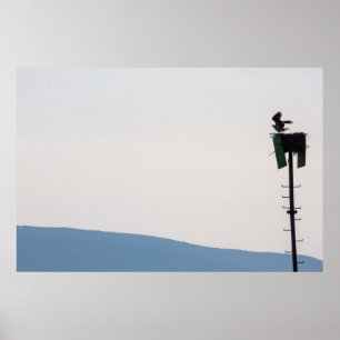 Osprey voor de berg Desert Island, Maine Poster