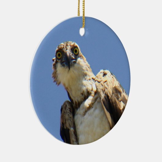 Osprey Watching Keramisch Ornament (Rechts)