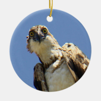 Osprey Watching Keramisch Ornament