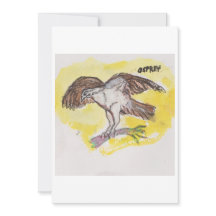 Osprey Wenskaart