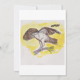Osprey Wenskaart Kaart