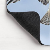 Osprey Wingspan Mousepad Muismat (Hoek)