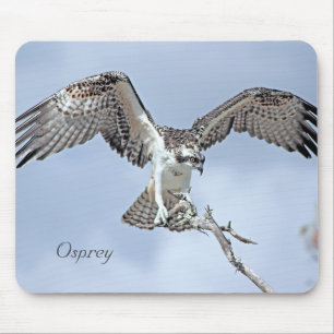 Osprey Wingspan Mousepad Muismat