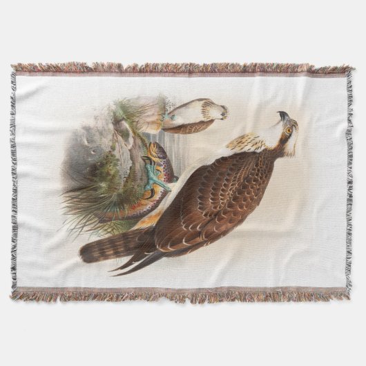 Osprey Zee Hawk John Gould Birds of Great Britain Deken (Voorkant)