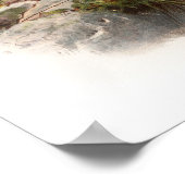 Osprey Zee Hawk John Gould Birds of Great Britain Poster (Hoek)