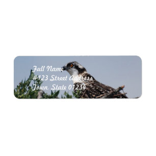 Osprey Zittend op Nest Mailing Labels