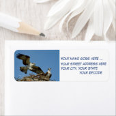 Ospreys Hawks retourneren adreslabels Etiket (Insitu)