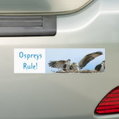 Ospreys Rule Bumpersticker (Op auto)