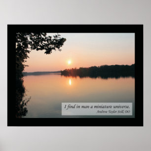 Osteopathische noteringen en Gezegden GezondheidsP Poster