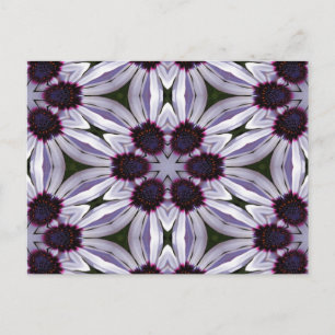 Osteospermum Abstract Briefkaart