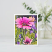 Osteospermum Briefkaart (Staand voorkant)
