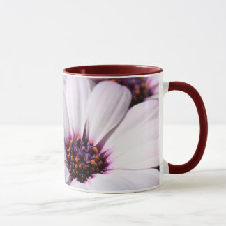 Osteospermum Mok