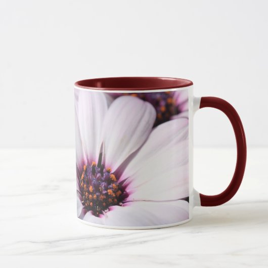 Osteospermum Mok (Rechts)