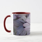 Osteospermum Mok (Links)