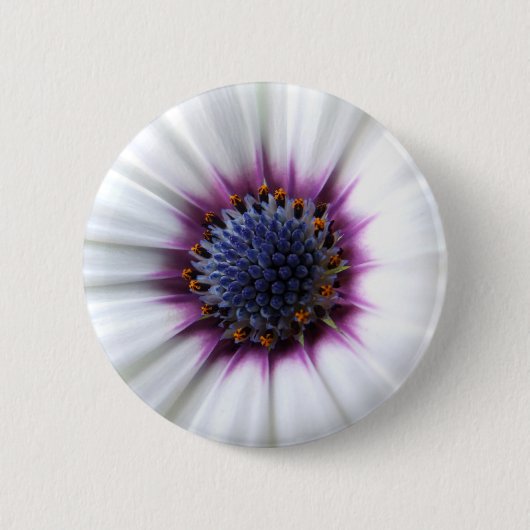 Osteospurmum Button (Voorkant)