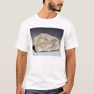 Ostracon met een hond die een hyena achtervolgt (l t-shirt