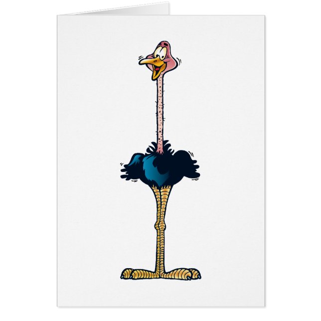 Ostrich (Voorkant)