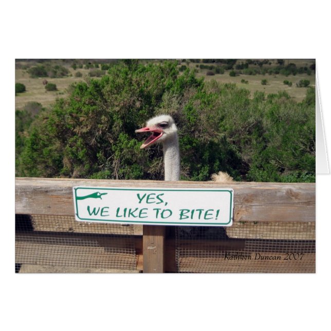 Ostrich (Voorkant Horizontaal)