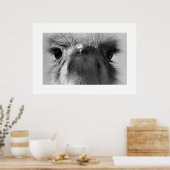 Ostrich#1-Poster Poster (Keuken)