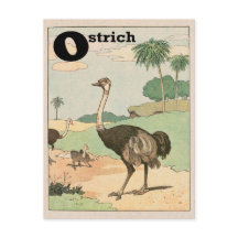 Ostrich Alphabet Letter