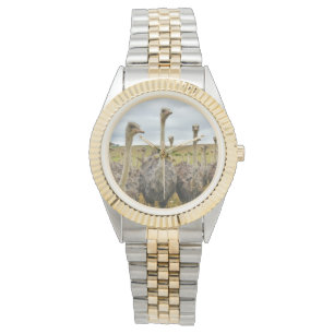 Ostrich Bird Horloge