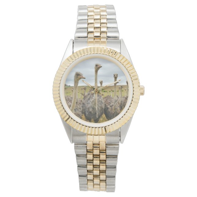 Ostrich Bird Horloge (Voorkant)