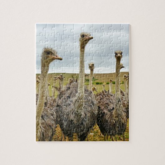 Ostrich Bird Legpuzzel (Verticaal)