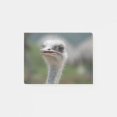Ostrich Bird Post-it® Notes (Voorkant)
